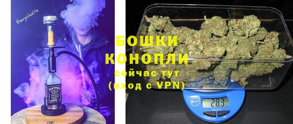 шишки Баксан