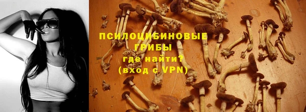 кокаин Белокуриха