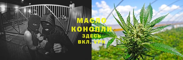 стаф Балахна