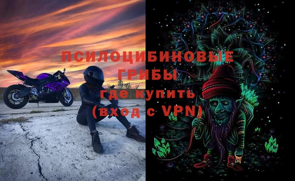 кокаин Белокуриха