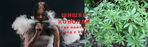 дмт Богданович