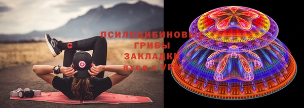 стаф Балахна